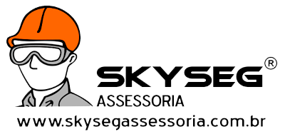 SKYSEG Assessoria
